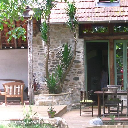 Villa Le Gite Du Bain Des Oies à Sauveterre-de-Bearn Extérieur photo